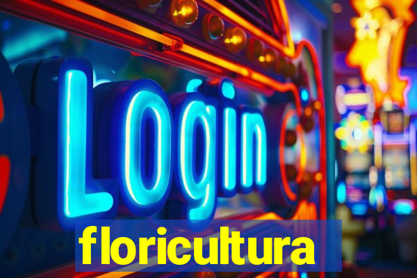 floricultura juazeiro bahia